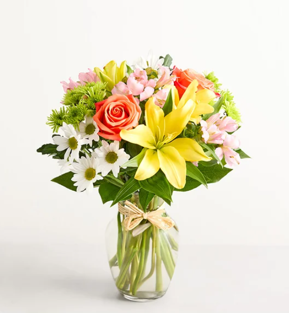 FIELDSOF EUROPE. XL$69.99. L$59.99. M$49.99. S$44.99