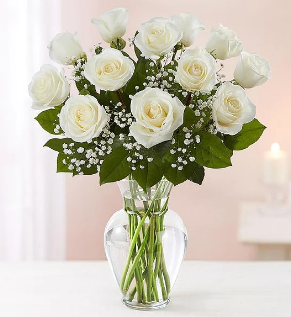 ONE DOZEN WHITE ROSES $69.99. 18 ROSES $89.99