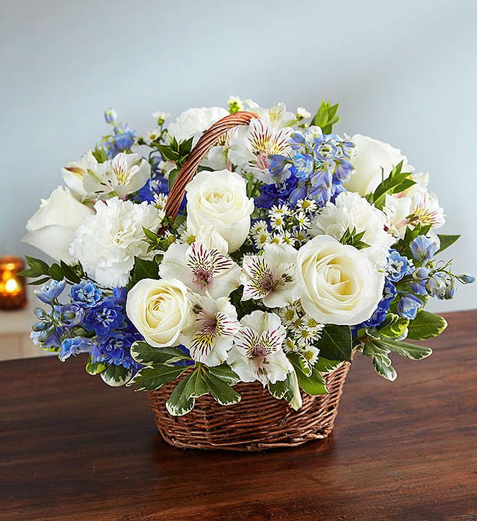 WHITE BLUE SYMPATHY BASKET.
L$69.99.
M$59.99.
S$49.99