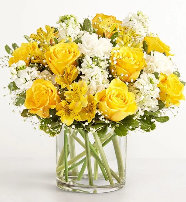 YELLOW AND WHITE. XL$79.99. L$69.99. M$59.99. S$49.99